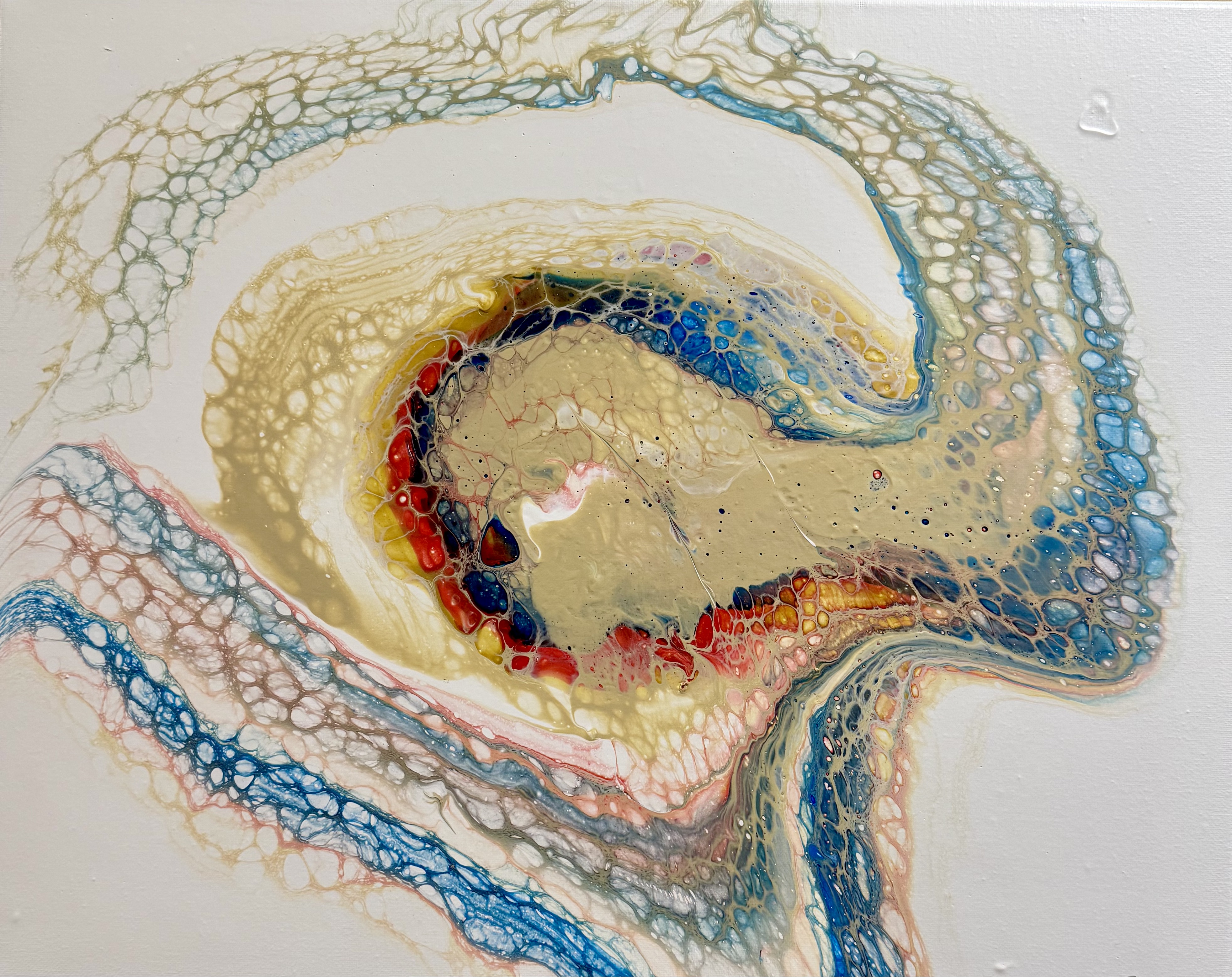 Auge des Lebens 30×50